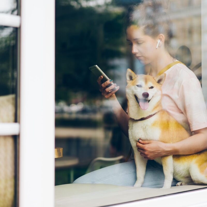 Tutora usando o WhatsApp para solicitar atendimento automatizado para pet shop com o cachorro ao lado