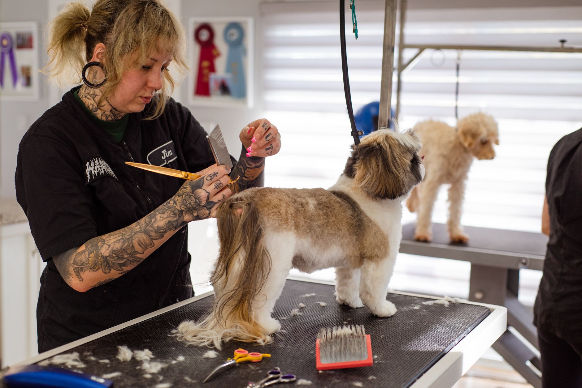 groomer atendendo varios pets pet shop em Múltiplos Atendentes no WhatsApp para Pet Shops com Vários Serviços Profissionais de um pet shop atendendo vários pets ao mesmo tempo em serviços diferentes